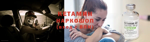 прущие грибы Инсар