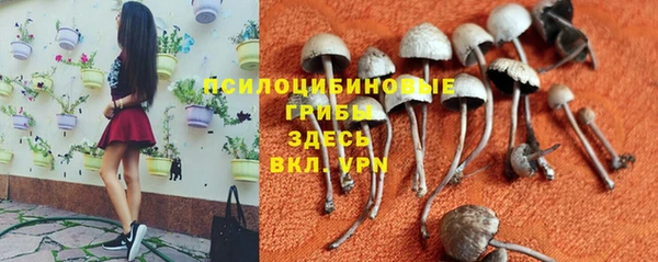 ECSTASY Верхний Тагил