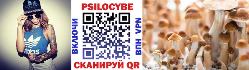 Галлюциногенные грибы прущие грибы  Лодейное Поле 